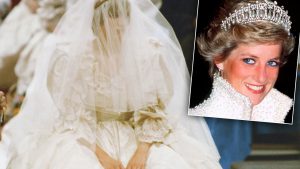 Princess diana wedding dress neq pp